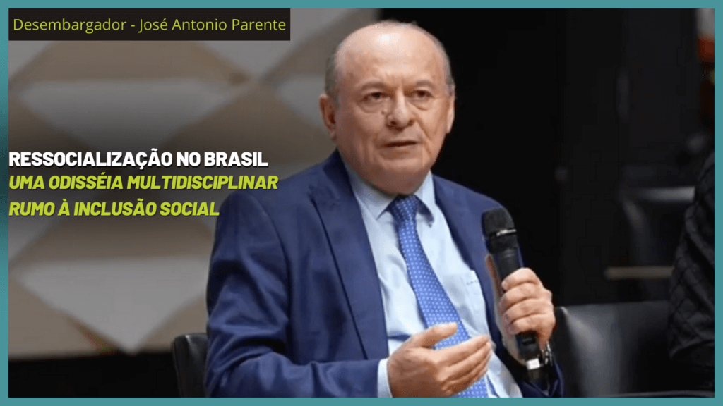 Ressocialização no Brasil: Uma Odisséia Multidisciplinar Rumo à Inclusão Social